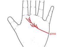 感情线分叉代表什么