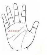 感情线断开上下两条代表什么