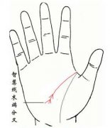 智慧线末端分叉图解