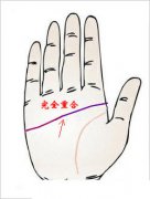 感情线和智慧线相连