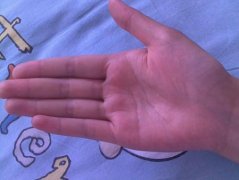 智慧线和感情线相连的手相图解