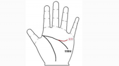 感情线分叉到智慧线会怎样