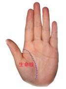 教你看手相测命运图解