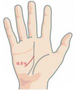 手相 遇贵纹图解