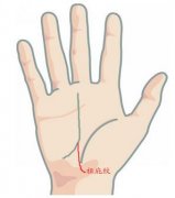 手相 祖庇纹图解