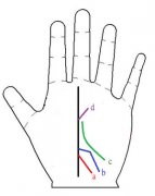 手相 宠爱线图解