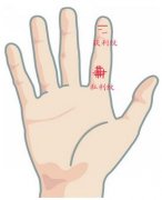 手相 获利纹和私利纹图解