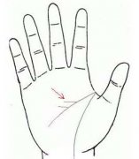 智慧线中间分叉图解