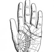 男人手相看哪只手？