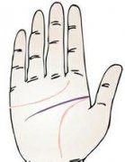 智慧线是哪条，手上哪条是智慧线？