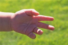 手相看哪只手？