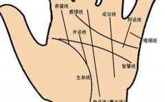 手相看看你的财富与命运