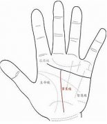 事业线到感情线停止好不好？