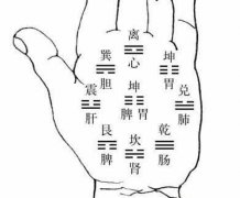 手掌八宫看你命运好坏