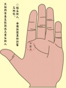 太阳线有线到食指下方（木星丘）代表什么？