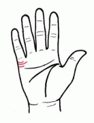 爱情线上论婚姻成败