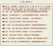 成涛掌相掌丘说明