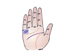 典型的剩男剩女手相大揭秘