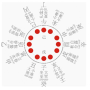 9.天干地支的相互关系：根与苗