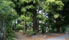 甲木日主生于申月如何取用神?