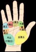 手掌透视一生命运和财运