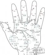 看手纹预知你的健康