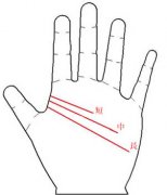 手相图解：智慧线看你多聪明