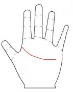 手相图解：智慧线看什么工作适合你