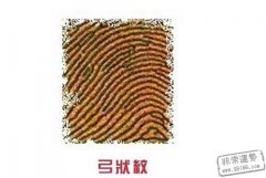 手相算命：指纹透露你的爱情观