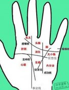 手相算命：掌纹与健康