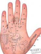 指纹看你的贵人运好不好