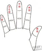 手指透露你的贫富贵贱