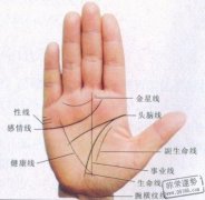 手掌透露你的婚姻运势