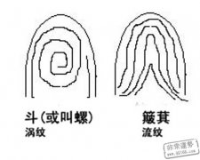 指纹揭示你一生命运