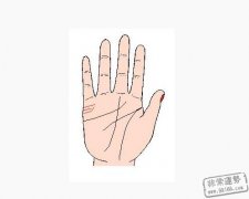 婚姻线预测你的结婚年龄