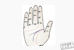 智慧线分叉代表什么