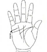 一条婚姻线是什么意思