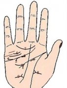 手上的桃花线知多少