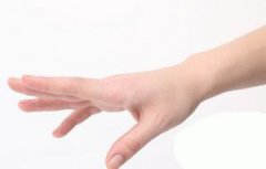 从手相看你小命“长度”