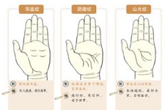 最全的手掌纹路分析