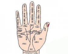 3分钟学会看手相