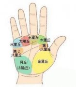 右手没有事业线好不好