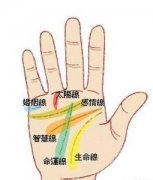 智慧线很长好吗