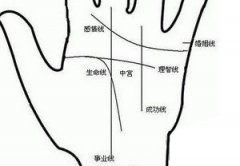 从手上看你一生的爱情运势