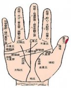 手相论你的财富运势