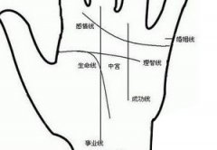 3分钟教你学会看手相