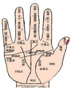 能嫁个好老公的手相