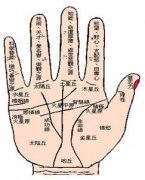 手相入门知识大全