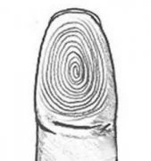 看你有没有拇指富贵纹