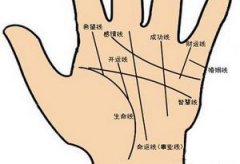 总是遇人不淑的女人手相